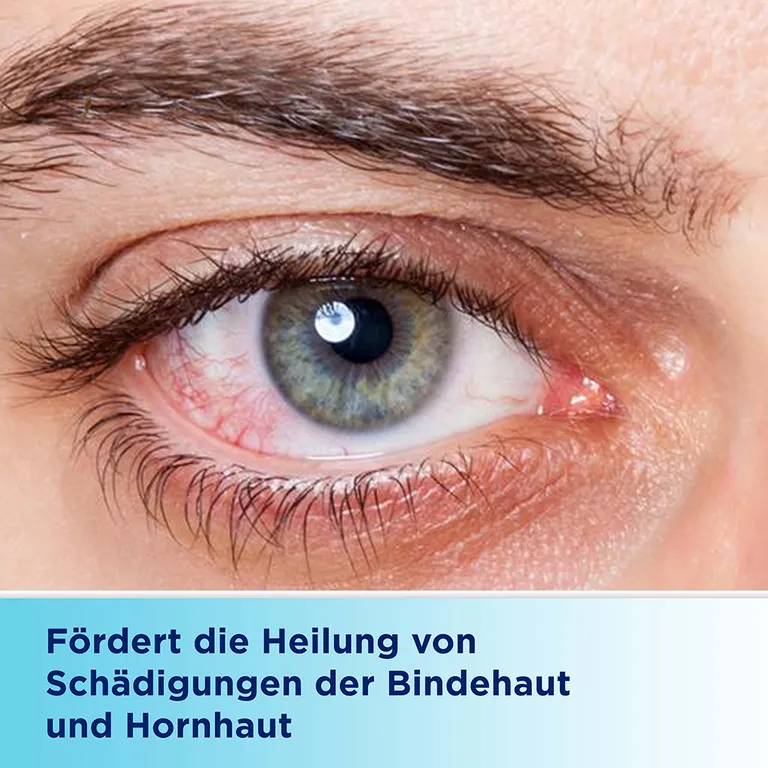 Shopapotheke Bepanthen® Augen- Und Nasensalbe Zur Förderung Der Wundheilung