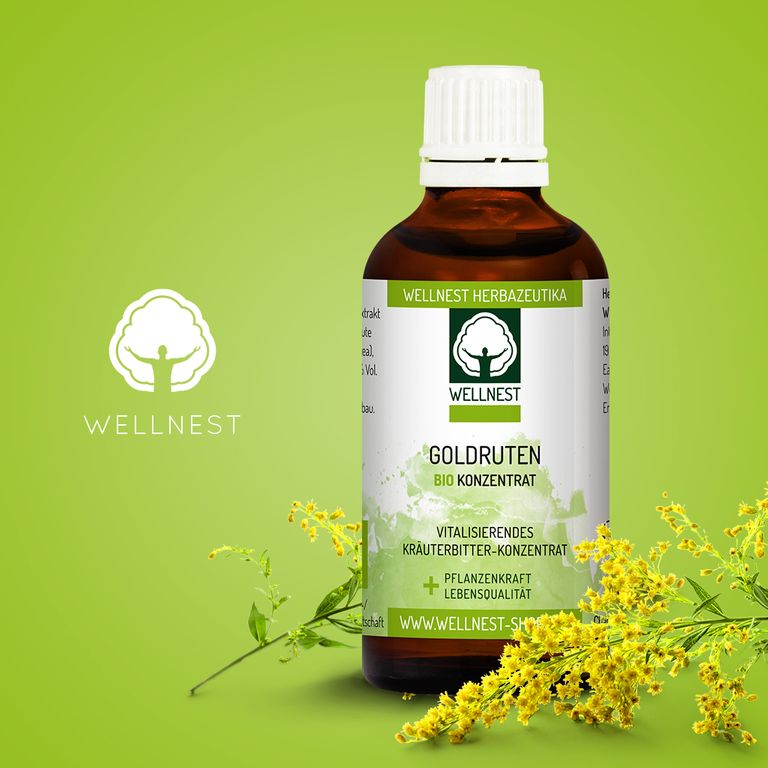 Shopapotheke Bio Goldrute Solidago Konzentrat - Wellnest Pflanzenkraft Urtinktur