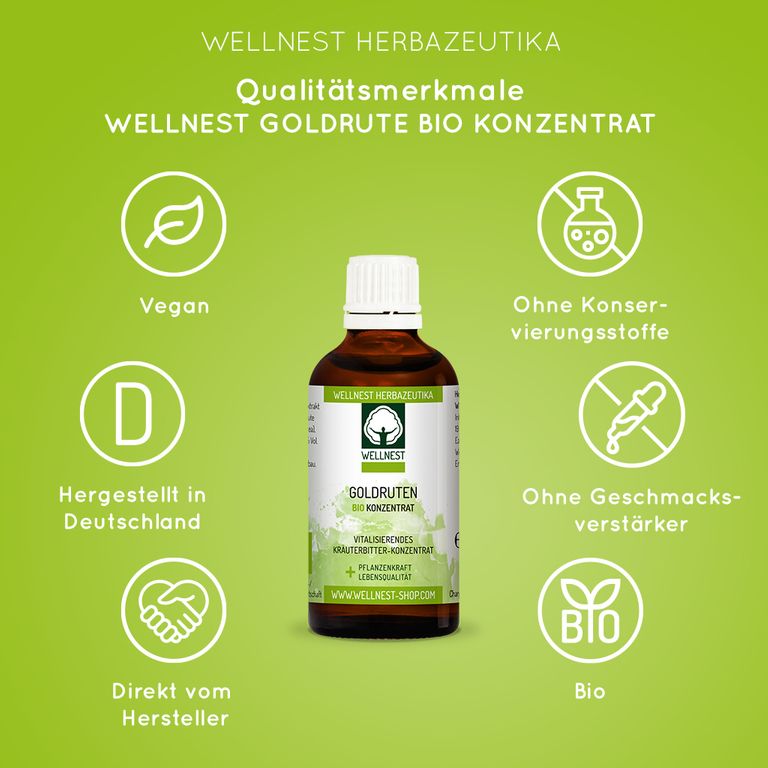 Shopapotheke Bio Goldrute Solidago Konzentrat - Wellnest Pflanzenkraft Urtinktur