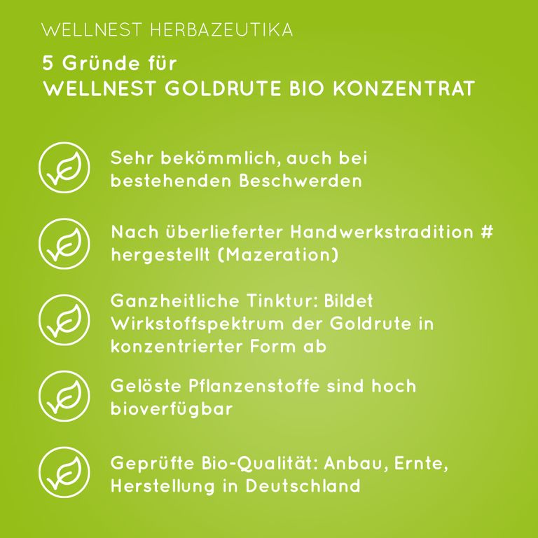 Shopapotheke Bio Goldrute Solidago Konzentrat - Wellnest Pflanzenkraft Urtinktur