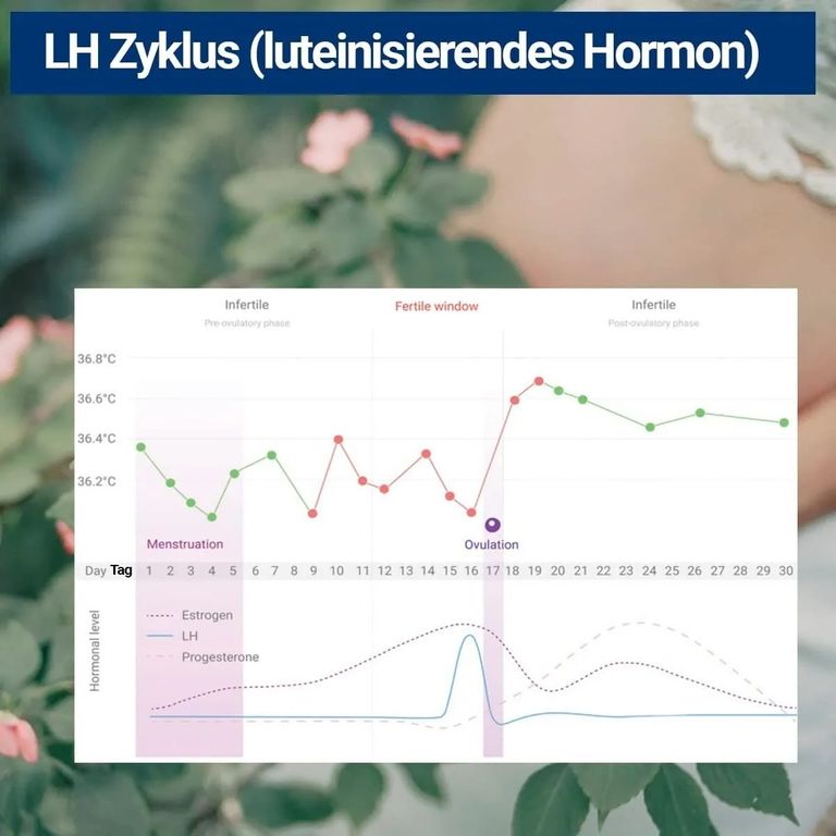 Shopapotheke BMUT Kombi 50 Ovulationstest Streifen (25miu) + 20x Schwangerschaftstest (10miu)