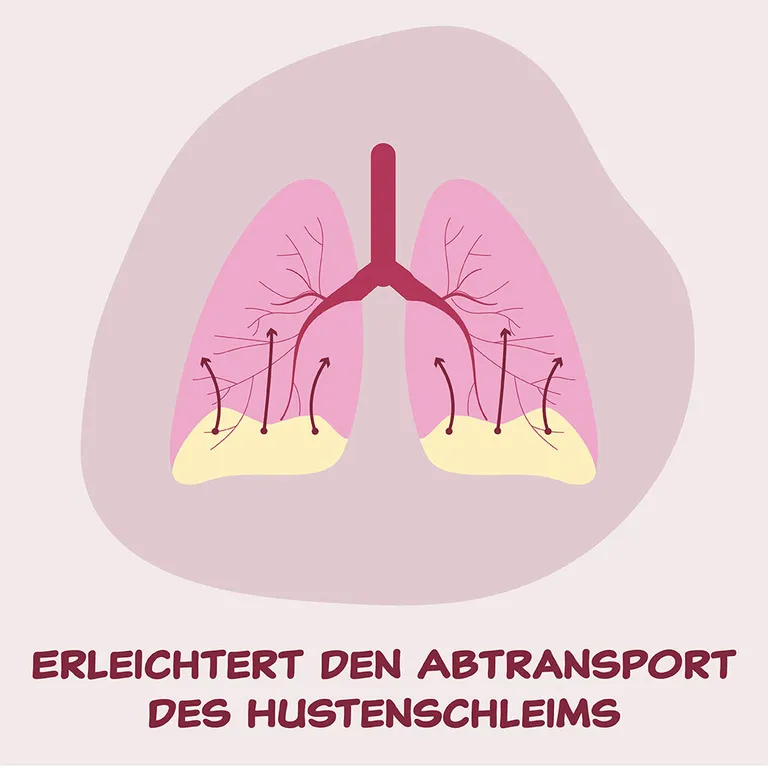 Shopapotheke Bromhexin HERMES ARZNEIMITTEL® 12 Mg/ml