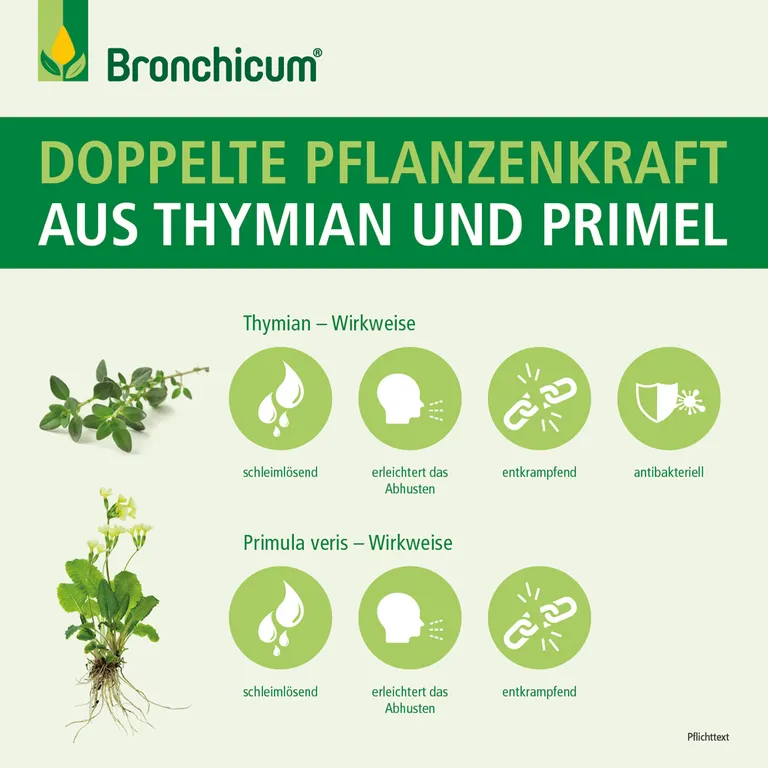 Shopapotheke Bronchicum Tropfen - Pflanzliche Erkältungstropfen Bei Husten Und Akuter Bronchitis