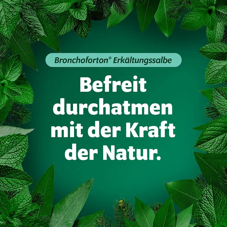 Shopapotheke Bronchoforton® Salbe – Erkältungssalbe Mit Rein Pflanzlichen Wirkstoffen. Löst Zähen Schleim Erleichtert Das Abhusten; Mit Eukalyptus- Fichtennadel- Und Pfefferminzöl