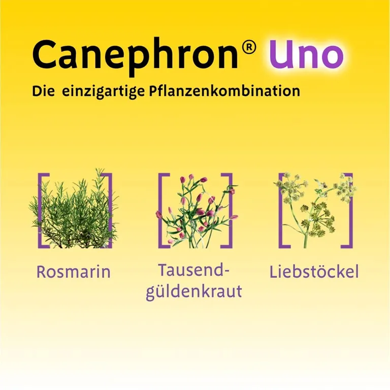 Shopapotheke Canephron® Uno Bei Akuter Blasenentzündung