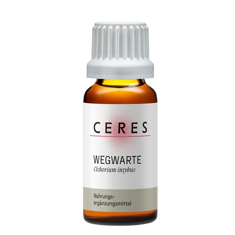 shopapotheke CERES Wegwarte Cichorium intybus Extrakt Tropfen