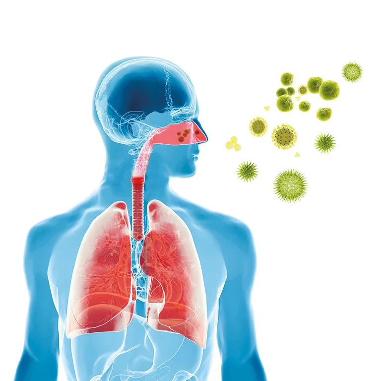 Shopapotheke CONTRALLERGIA HEVERT® Heuschnupfentropfen