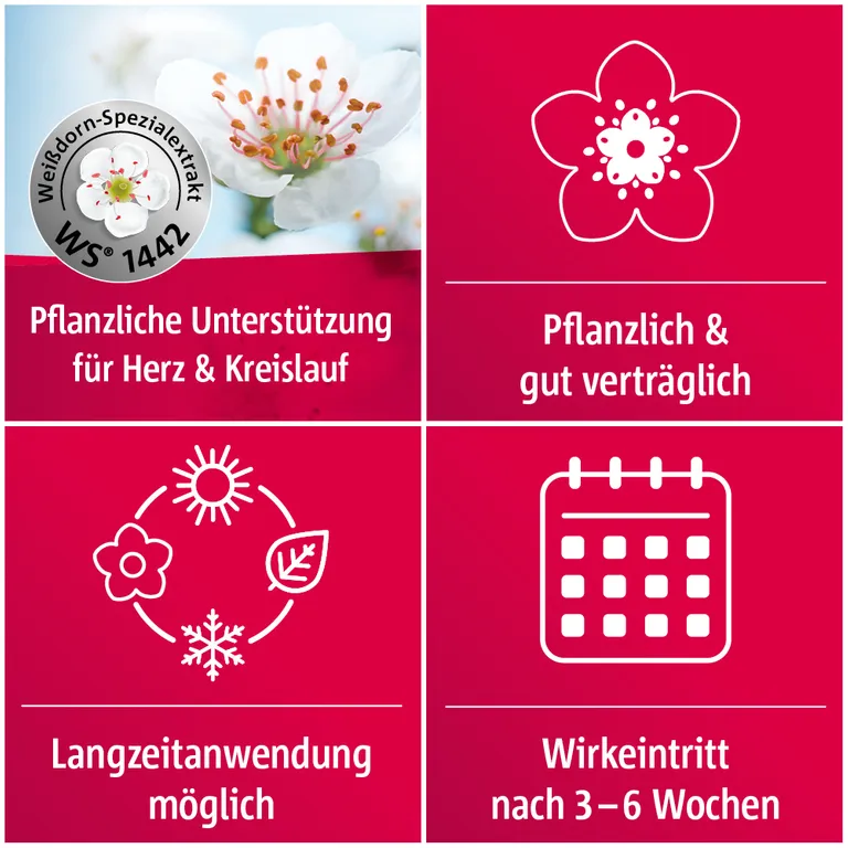 Shopapotheke Crataegutt® 450 Mg Herz-Kreislauf-Tabletten