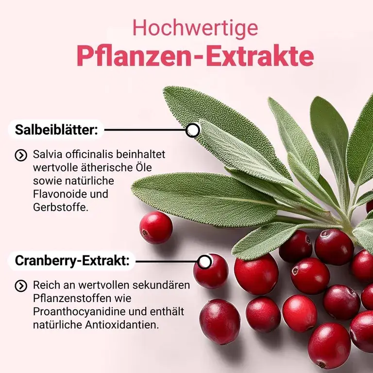 Shopapotheke DÖDERLEIN® CystoBiotic Milchsäurebakterien + Cranberry Biotin