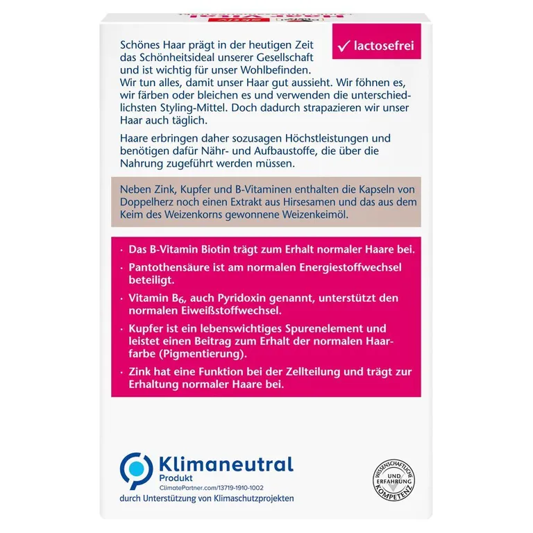 Shopapotheke Doppelherz® Aktiv Haar Vital + Zink + Hirseextrakt