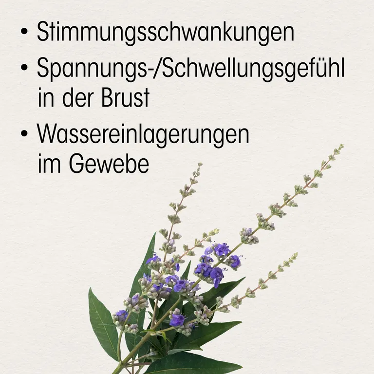 Shopapotheke Dr. Böhm® Mönchspfeffer 4 Mg Filmtabletten