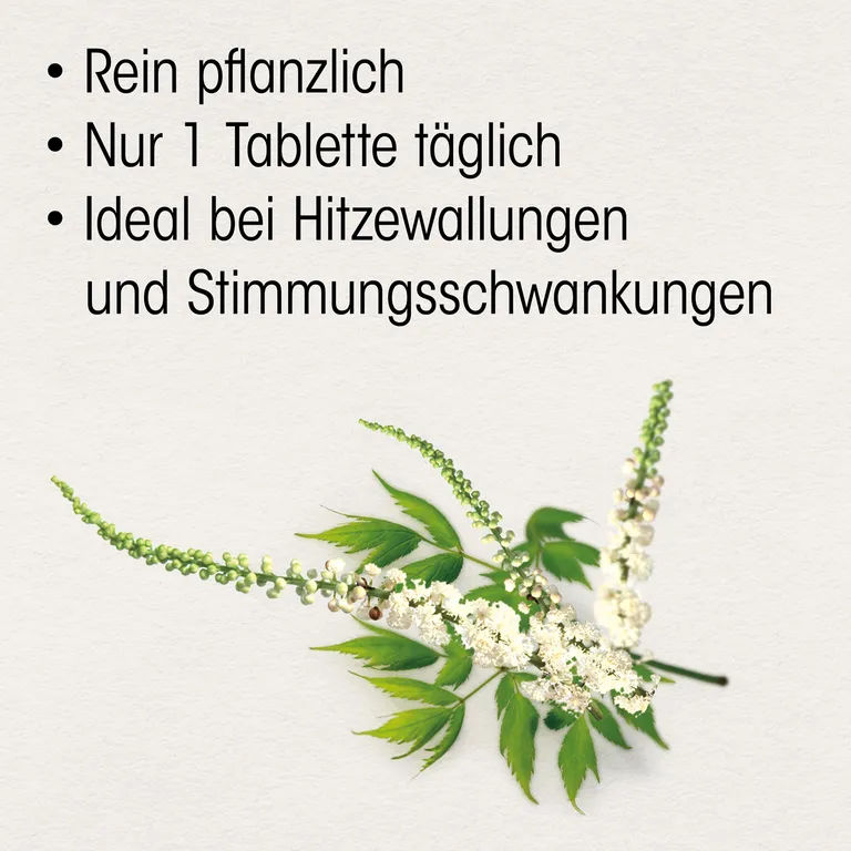 Shopapotheke Dr. Böhm® Traubensilberkerze 6 5 Mg Filmtabletten