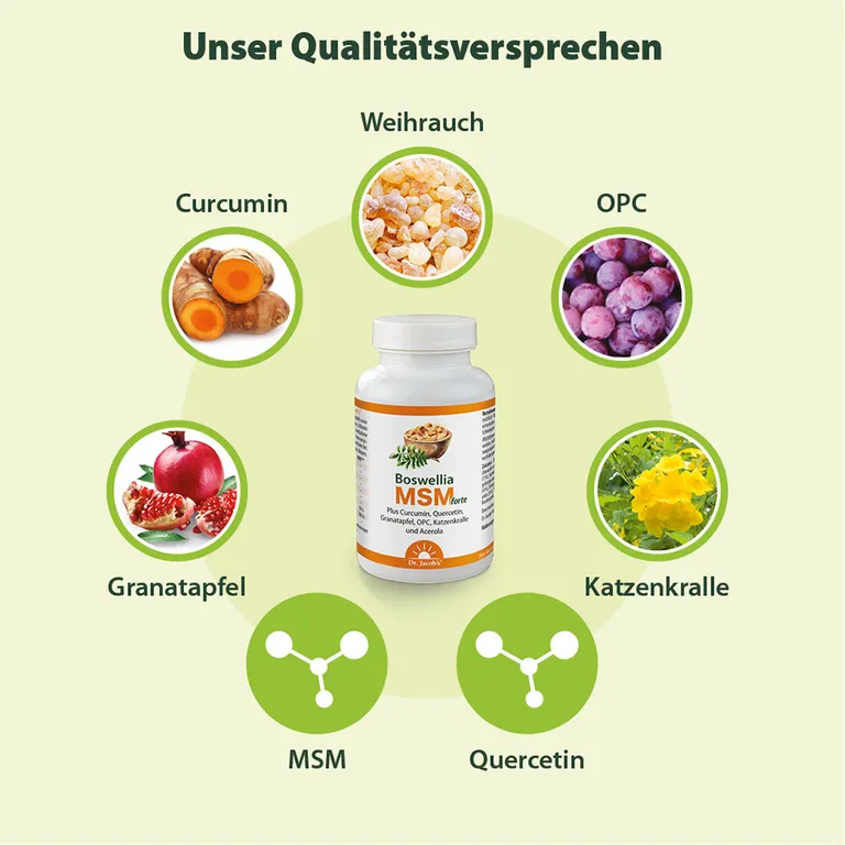 Shopapotheke Dr. Jacob's Boswellia MSM Forte Weihrauch Curcumin Quercetin Granatapfel OPC