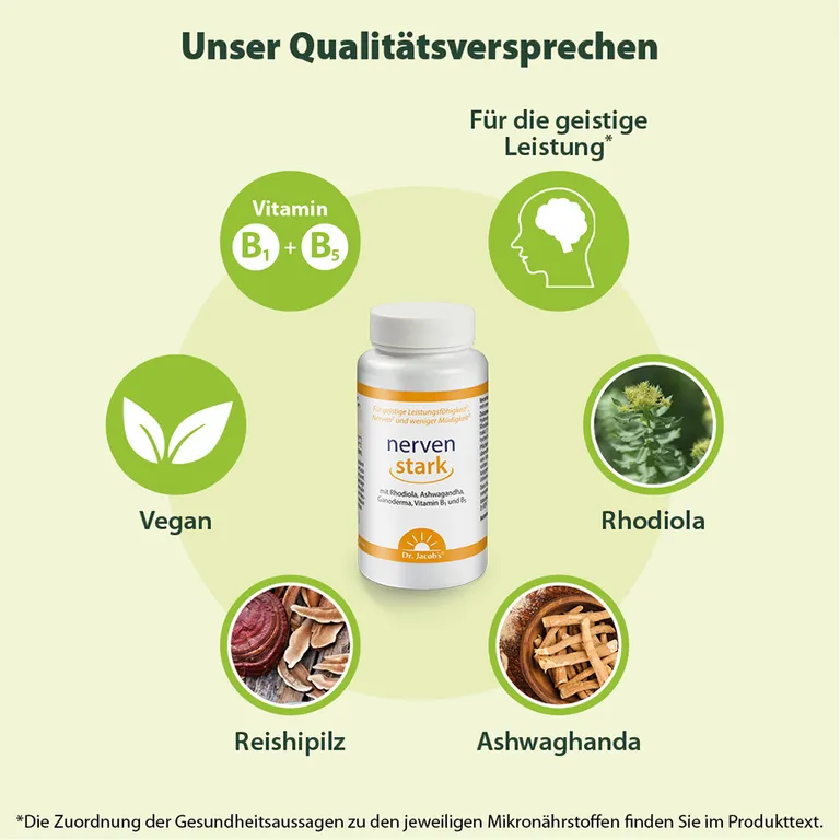 Shopapotheke Dr. Jacob's Nervenstark – Rosenwurz (Rhodiola) Ashwaganda Reishi-Pilz Vitamin B1