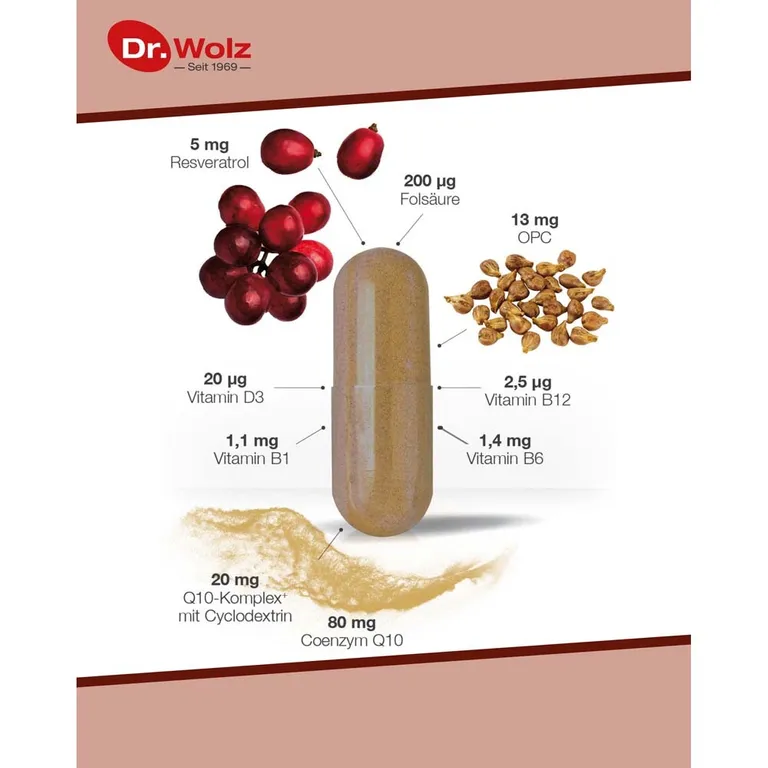 Shopapotheke Dr. Wolz Cardio Protect Q10 Herzkapseln