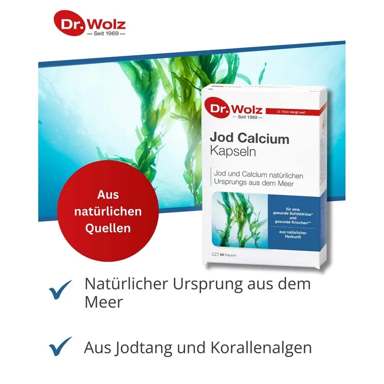 Shopapotheke Dr. Wolz Jod Calcium Kapseln 60 Kapseln Jod Und Calcium Natürlichen Ursprungs Aus Dem Meer Gesunde Schilddrüse Und Gesunde Knochen