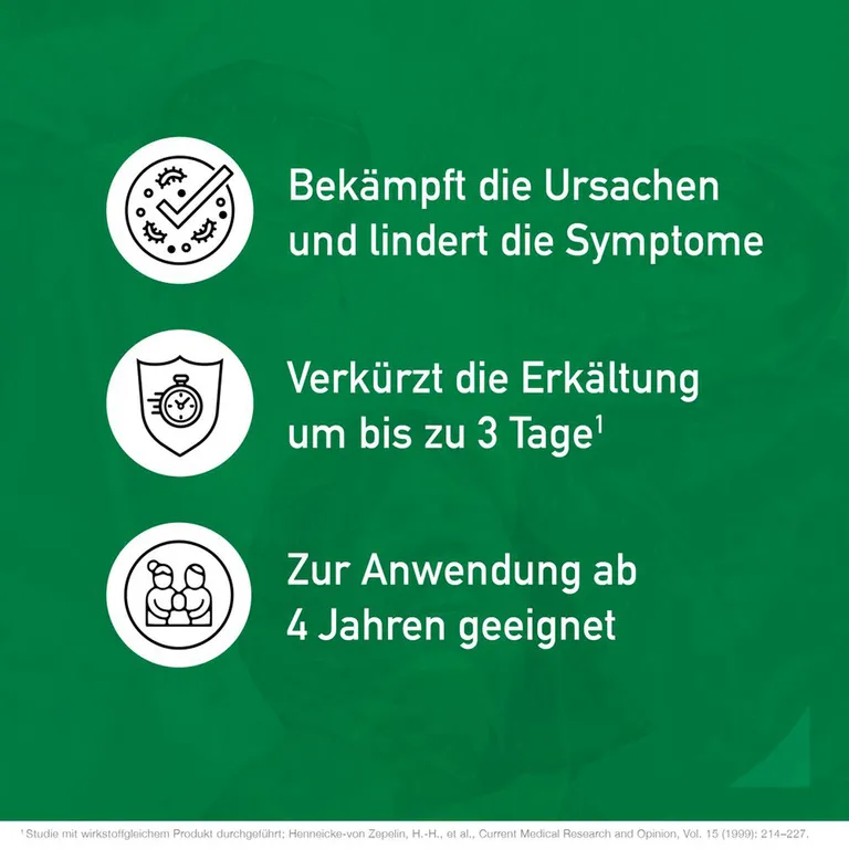 Shopapotheke Esberitox Tabletten Bei Erkältungskrankheiten