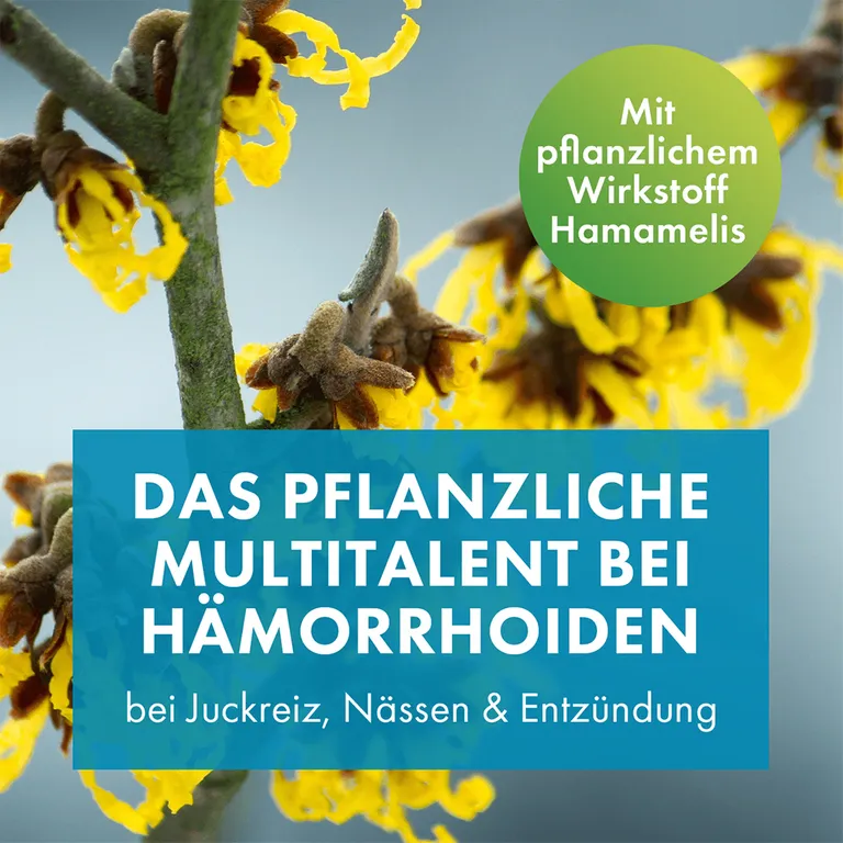 Shopapotheke FAKTU Lind Hämorrhoidenzäpfchen - Bei Jucken Nässen Brennen Entzündungen Kleinen Blutungen 25 Stk Als Zäpfchen Ideal Für Die Anwendung In Der Nacht