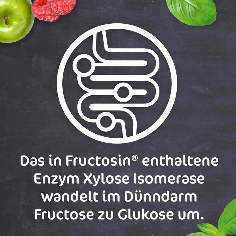Shopapotheke FRUCTOSiN® - Zur Linderung Von Durch Fruktosemalabsorption Bedingten Verdauungsbeschwerden