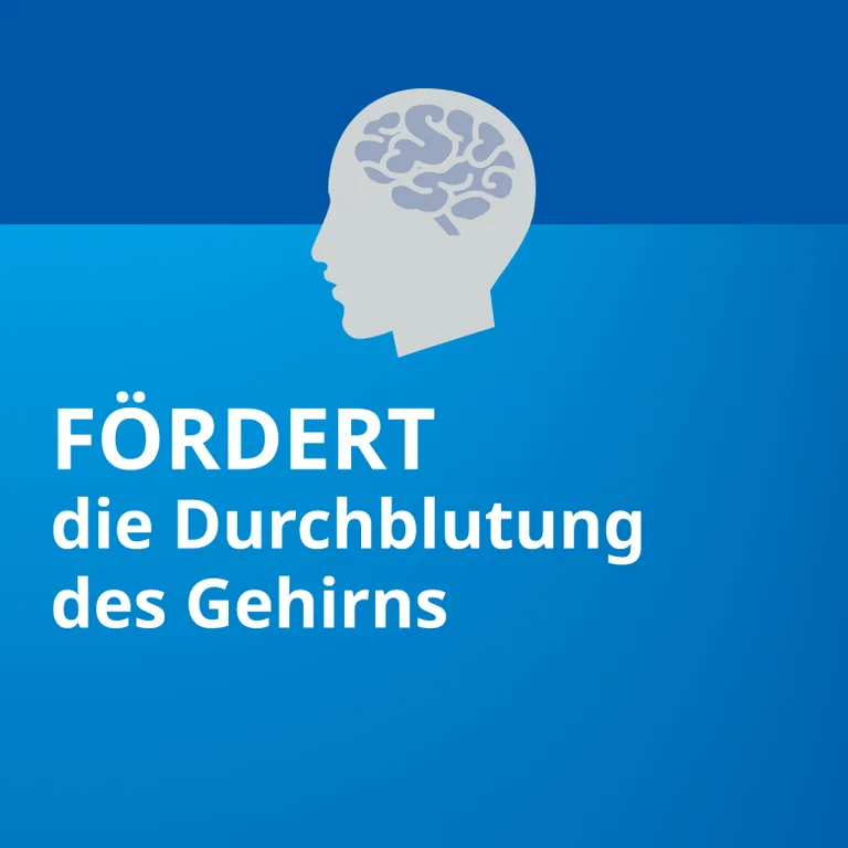 Shopapotheke Ginkgo Biloba STADA® 40 Mg Bei Gedächtnis- Und Konzentrationsstörungen