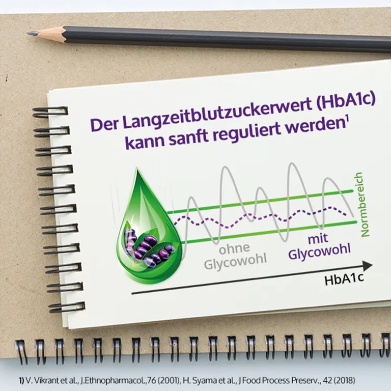 Shopapotheke GLYCOWOHL® Pflanzliche Tropfen Bei Diabetes Und Blutzucker