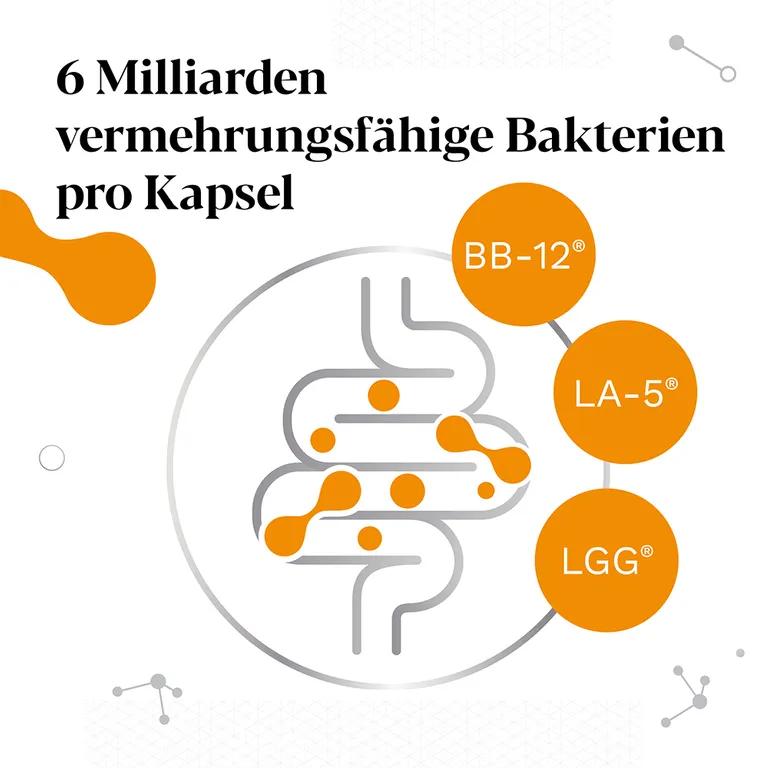 Shopapotheke IberoBiotics® Pro - Die PROaktive Ergänzung Mit Vermehrungsfähigen Bakterienstämmen