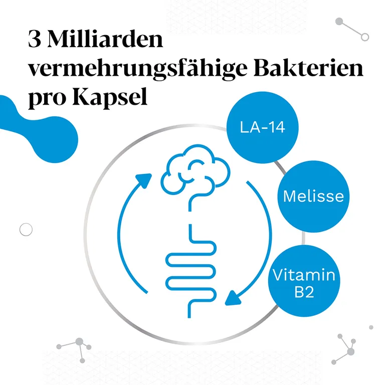 Shopapotheke IberoBiotics® Zen - Für Ein Gutes Bauchgefühl In Stressigen Zeiten