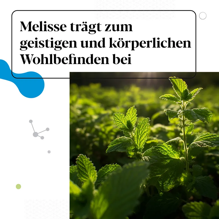 Shopapotheke IberoBiotics® Zen - Für Ein Gutes Bauchgefühl In Stressigen Zeiten