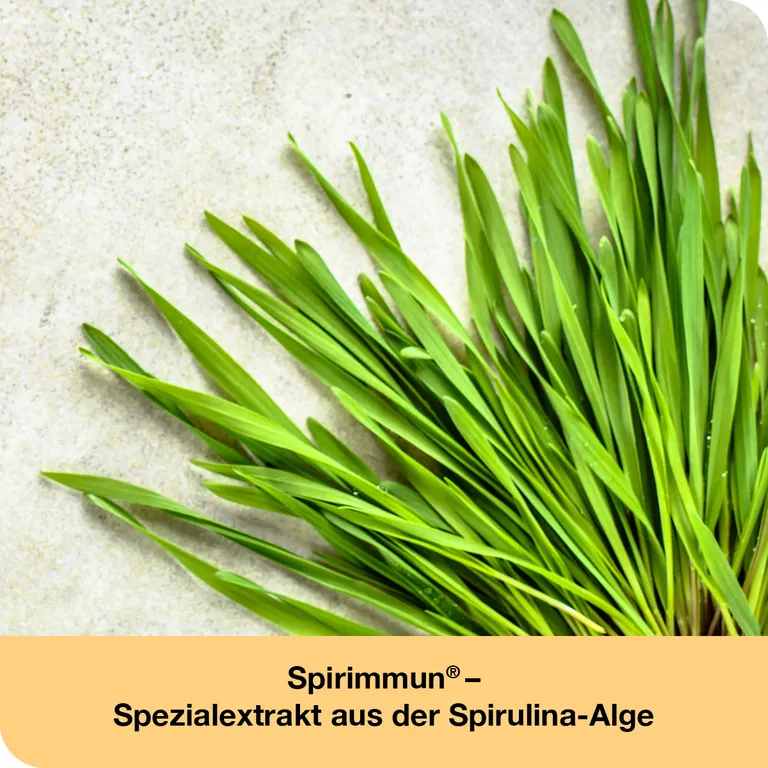 Shopapotheke ImmunLoges® Kapseln - Unterstützt Ein Gesundes Immunsystem*