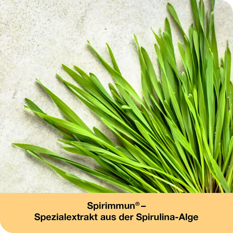 Shopapotheke ImmunLoges® Saft - Unterstützt Ein Gesundes Immunsystem*