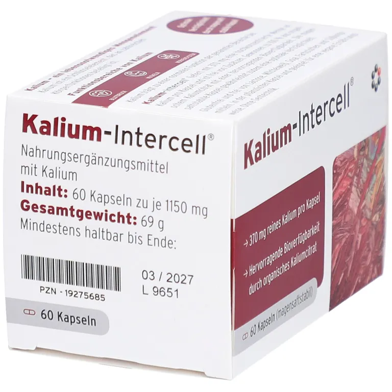 Shopapotheke KALIUM-INTERCELL Magensaftresistente Hartkapseln – Unterstützung Für Muskeln & Nerven