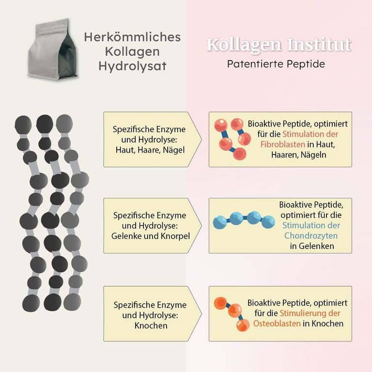 Shopapotheke Kollagen Institut: Kollagen Pulver Für Gelenke Und Knorpel