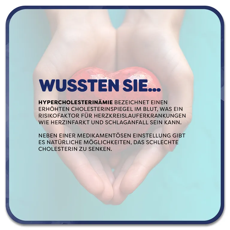 Shopapotheke Lactobact LDL-CONTROL - Natürliche Hilfe Bei Erhöhten Cholesterinwerten