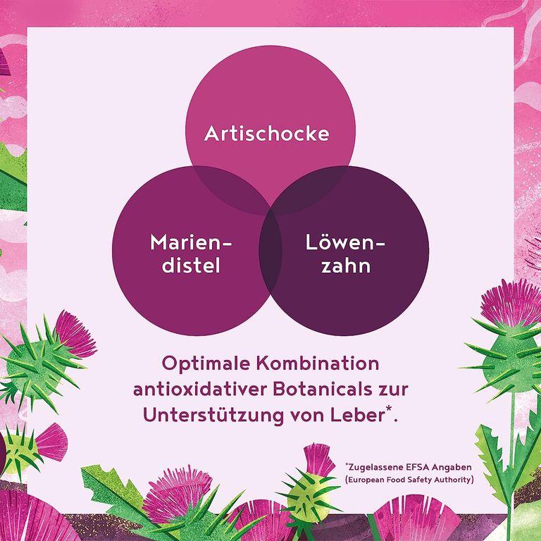 Shopapotheke Leberaufbau - Mariendistel Artischocke & Löwenzahn - 120 Kapseln - Deutsche Markenrohstoffe