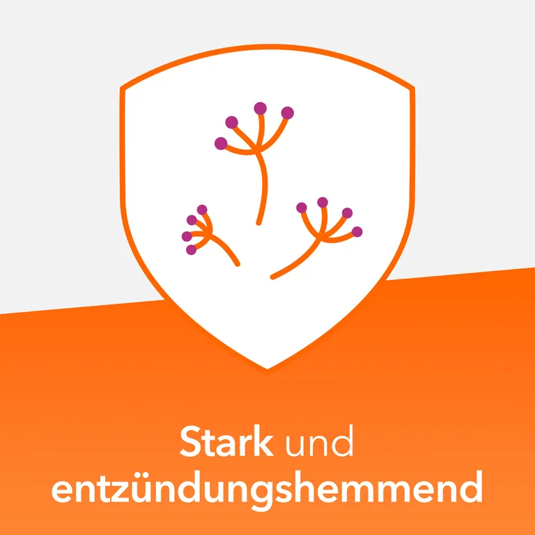 Shopapotheke Mometason Ratiopharm Nasenspray - Bei Heuschnupfen