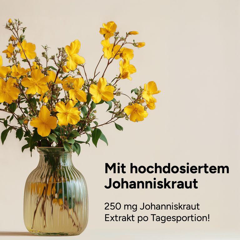 Shopapotheke NAROVITAL® Inner Balance - Johanniskraut Komplex Kapseln - Für Psyche & Nerven