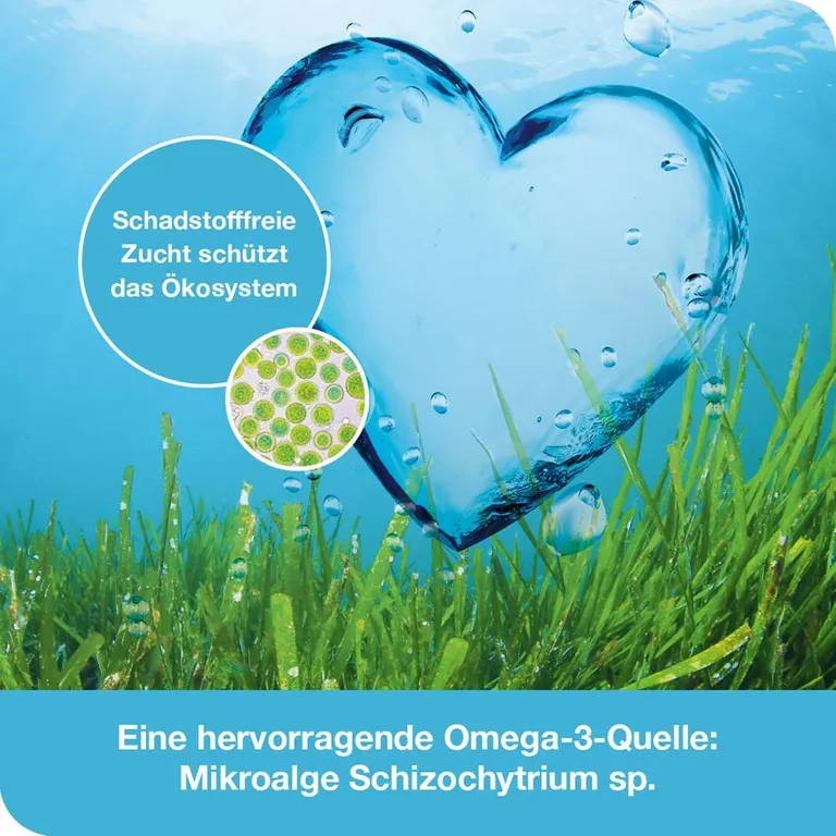 Shopapotheke Omega3-Loges Pflanzlich – Omega-3 Kapseln Vegan