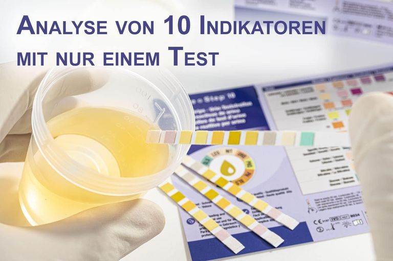 Shopapotheke One+Step Urinteststreifen Für 10 Indikatoren Inkl. Referenzfarbkarte