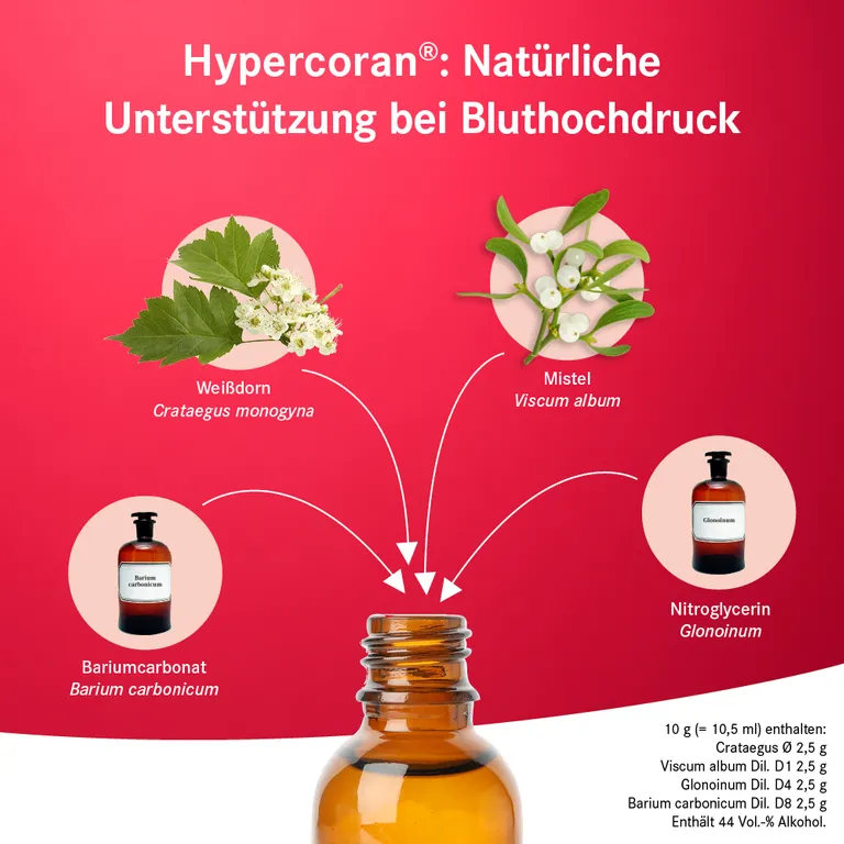 Shopapotheke Pascoe Hypercoran® Tropfen - Natürliches Herzmittel Bei Bluthochdruck U.a. Mit Weißdorn Und Mistel
