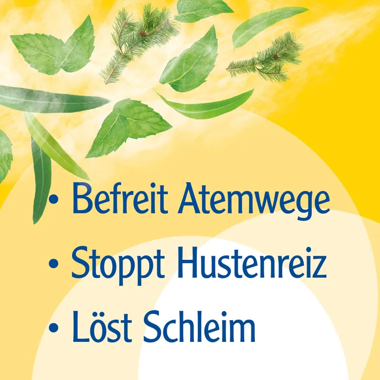 Shopapotheke Pinimenthol® Erkältungssalbe Ab 12 Jahren - Mit Eucalyptusöl Kiefernnadelöl Und Menthol