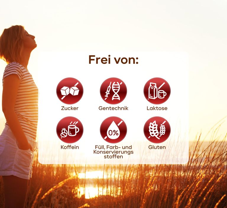 Shopapotheke Plantomol® Bitterrein - Leber Kur Kapseln Mit Mariendistel Artischocke Löwenzahn & Cholin