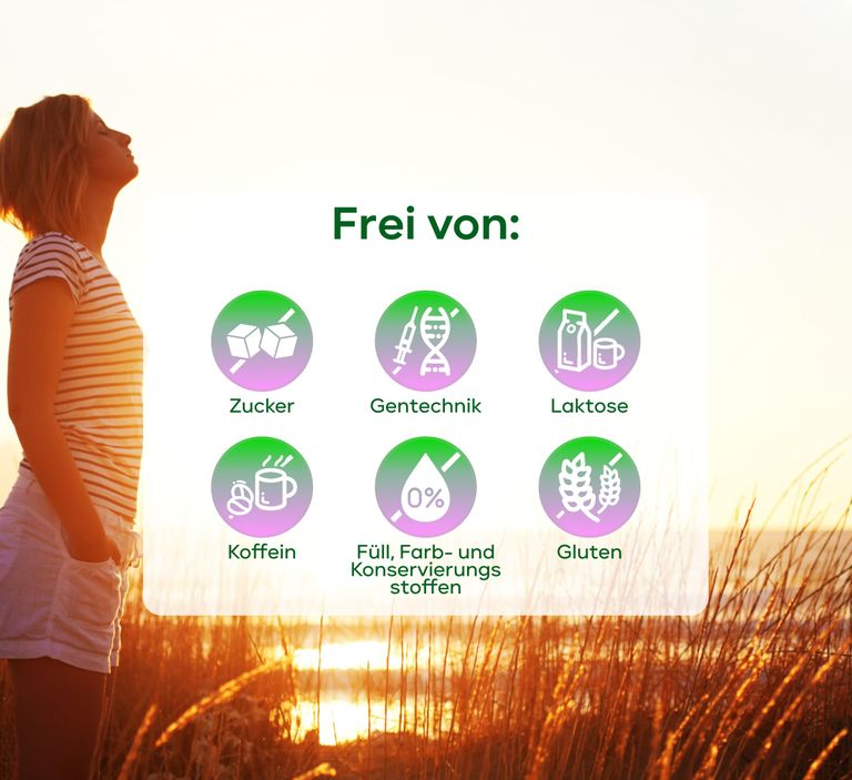 Shopapotheke Plantomol® Mariendistel Kapseln Mit Artischocke & Löwenzahn Als Jahresvorrat