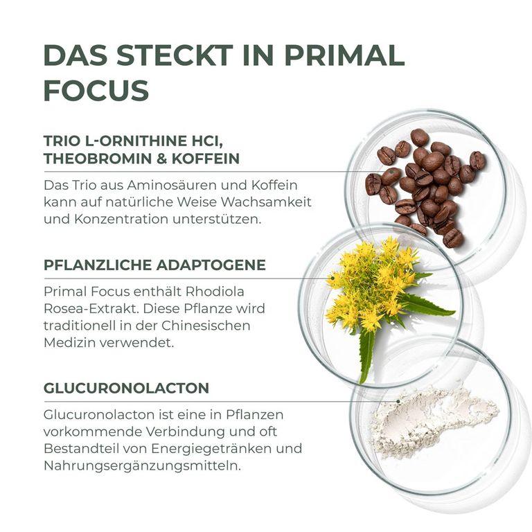 Shopapotheke Primal Focus Kogni Boost Von Primal Harvest®