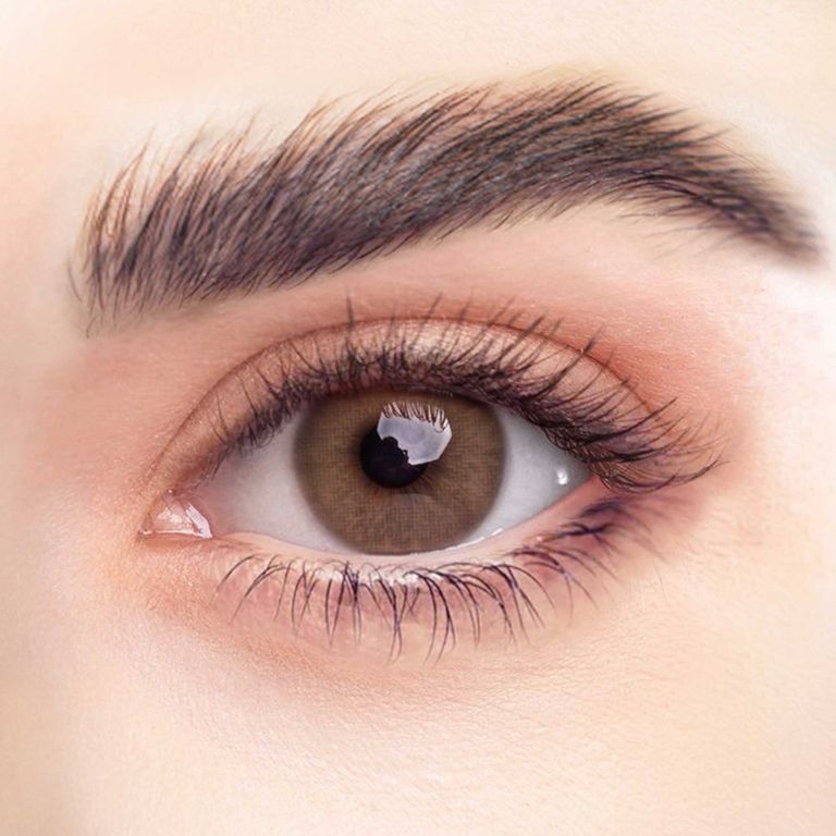 Shopapotheke REHLEIN Farbige Kontaktlinsen HASENLUSS