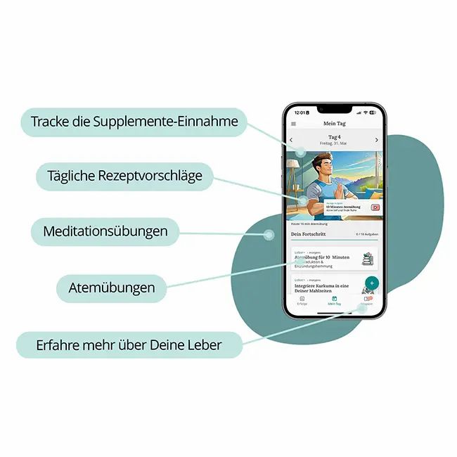 Shopapotheke Salufast Leber+ Box - 14-Tage Intensivkur