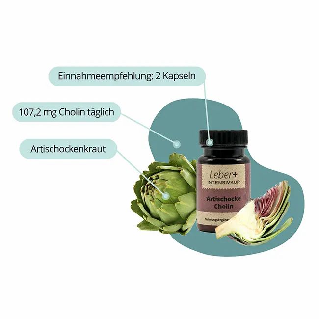 Shopapotheke Salufast Leber+ Box - 14-Tage Intensivkur