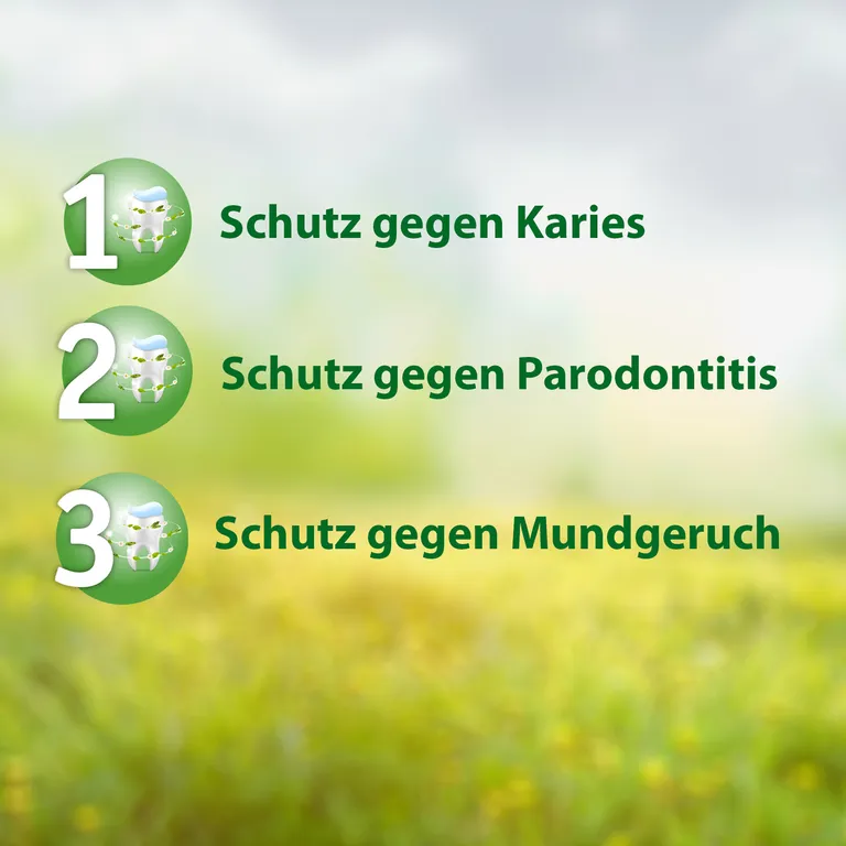 Shopapotheke Salviagalen F Madaus - Medizinische Zahnpasta Mit Fluorid