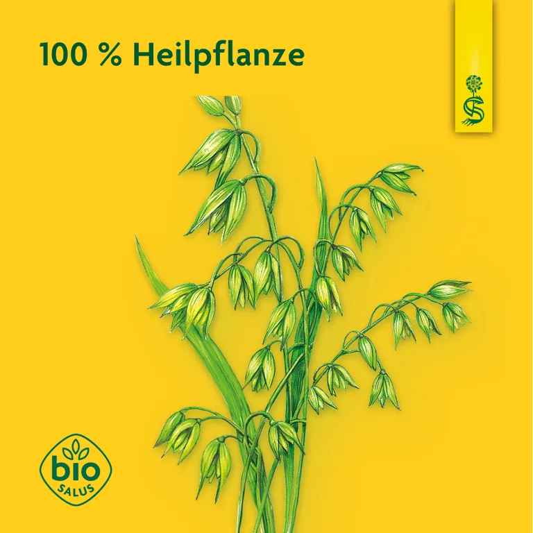 Shopapotheke Schoenenberger® Hafer Naturreiner Heilpflanzensaft Hafer
