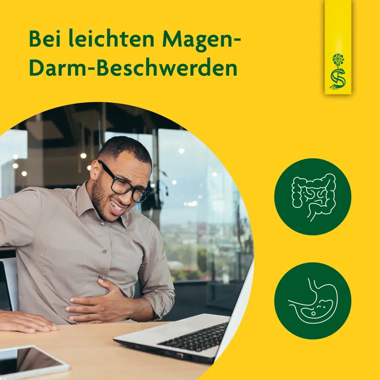 Shopapotheke Schoenenberger® Heilpflanzensaft Löwenzahn