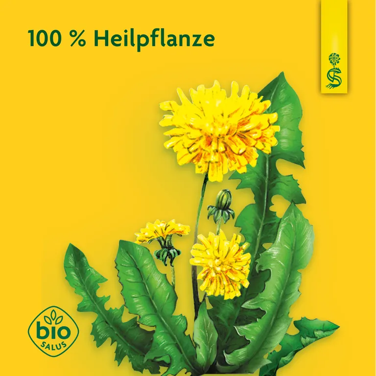 Shopapotheke Schoenenberger® Heilpflanzensaft Löwenzahn